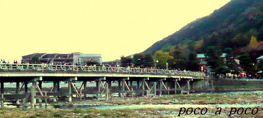 d0111216_2244398.jpg