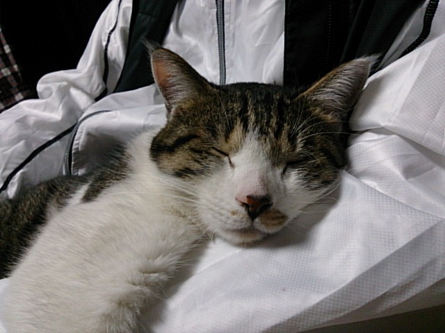 a0206019_15471483.jpg
