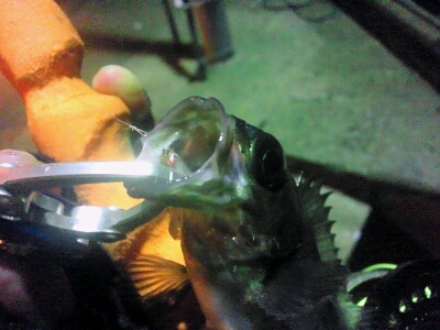 b0259124_1204489.jpg