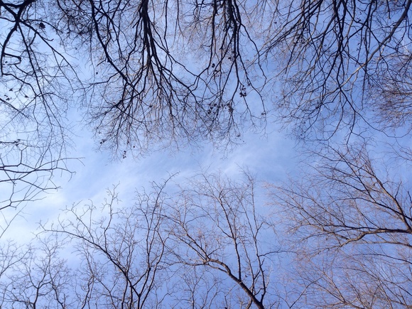 c0188525_2363389.jpg