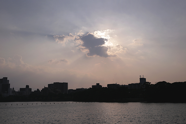 a0097735_2321554.jpg