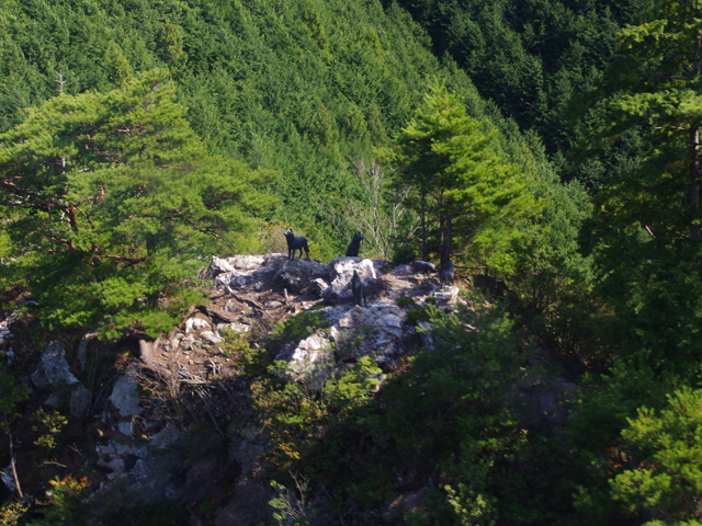 f0008935_8572090.jpg