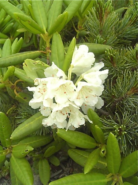 f0060535_23422950.jpg