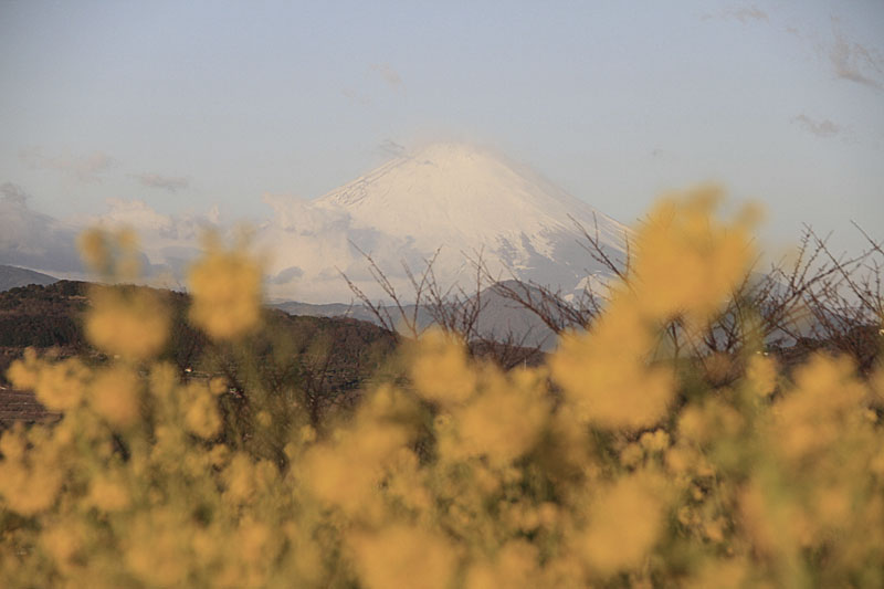 b0042837_5121389.jpg