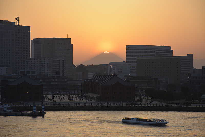 b0042837_514266.jpg