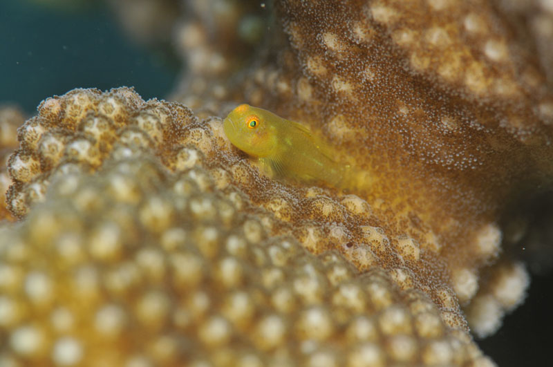 b0042837_522346.jpg