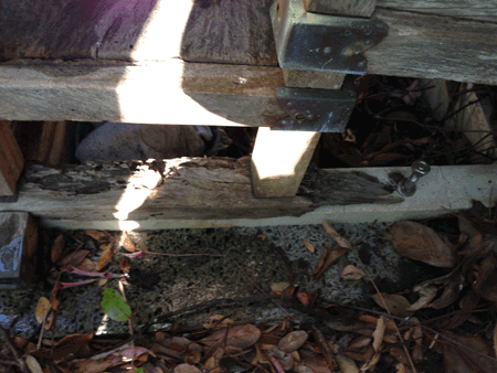 e0203037_23595063.gif