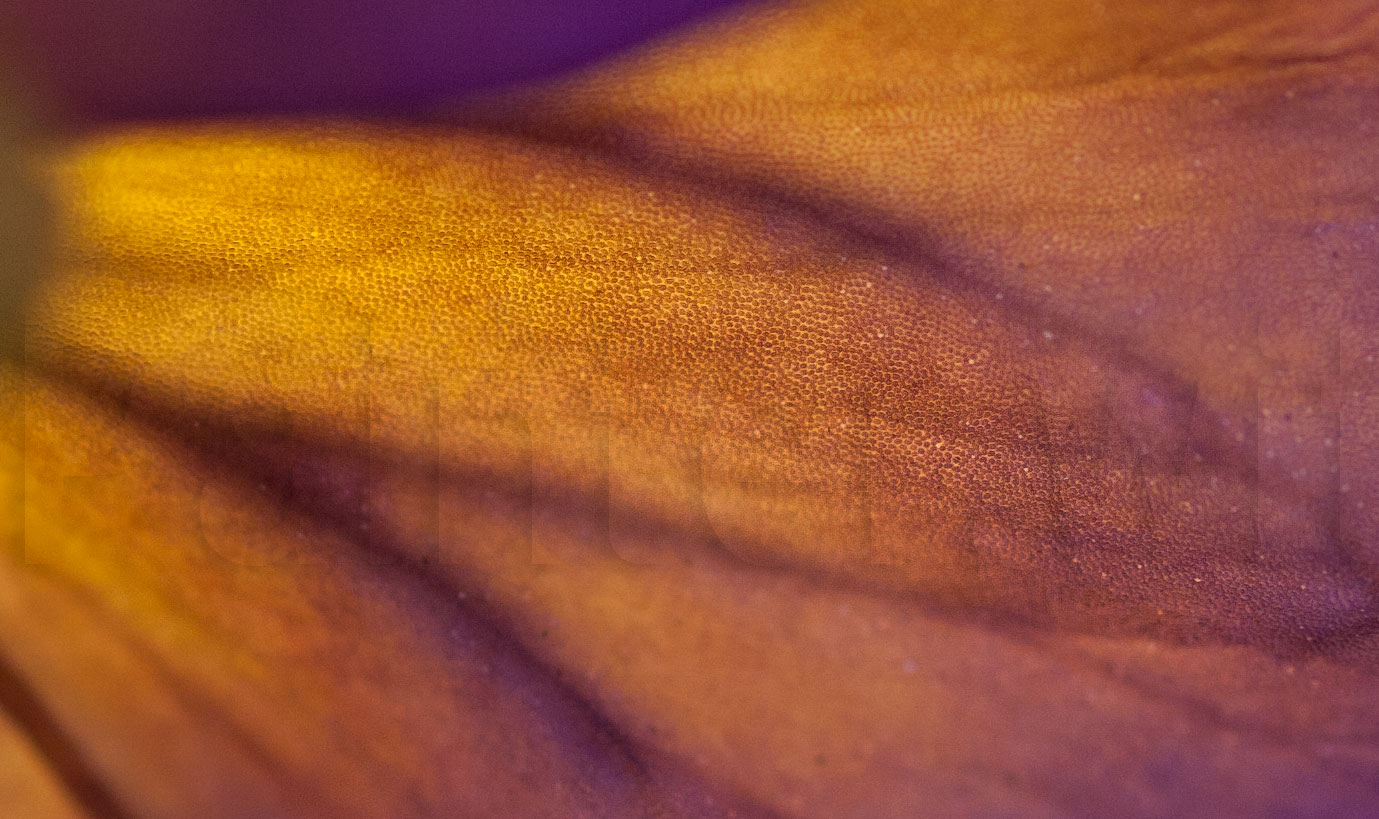 c0187438_19365380.jpg