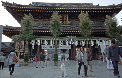 a0117039_22375258.jpg