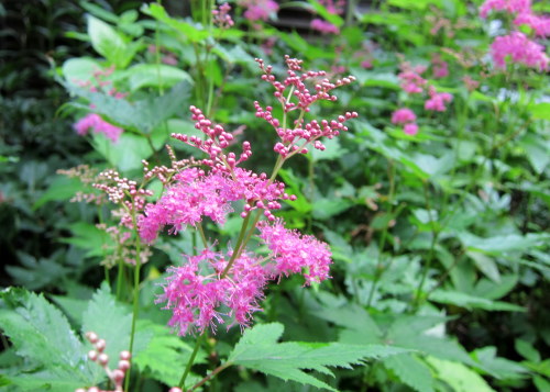 b0178339_07133150.jpg