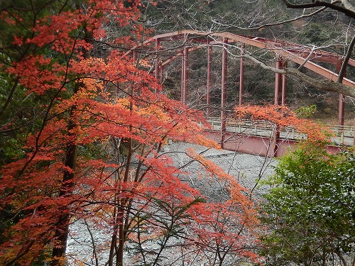 a0048040_125893.jpg
