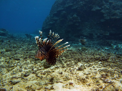 f0014842_2023174.jpg