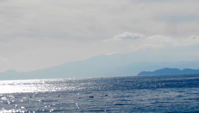 a0142343_1025598.jpg