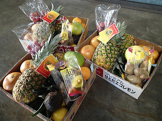 f0094843_22242437.jpg
