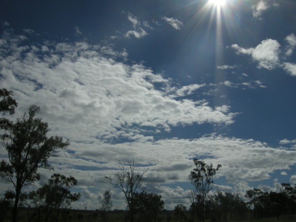 b0139547_12303990.jpg