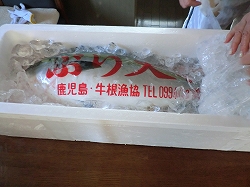 d0138650_20274454.jpg