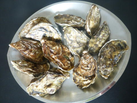 b0296855_20281499.jpg
