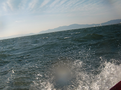 b0177760_0482041.jpg