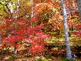 e0088260_17101230.jpg