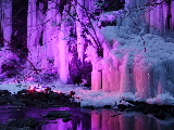 e0088260_176761.jpg