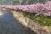 e0088260_177082.jpg
