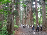 e0088260_1783193.jpg