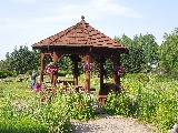 e0088260_1791814.jpg