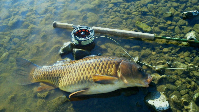 f0224363_22385830.jpg
