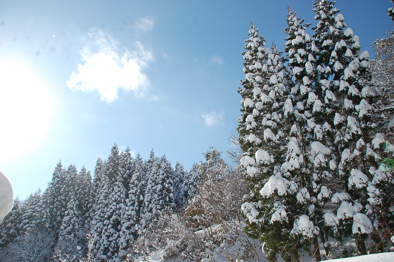 f0134564_20584179.jpg