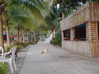 c0039073_19423017.jpg