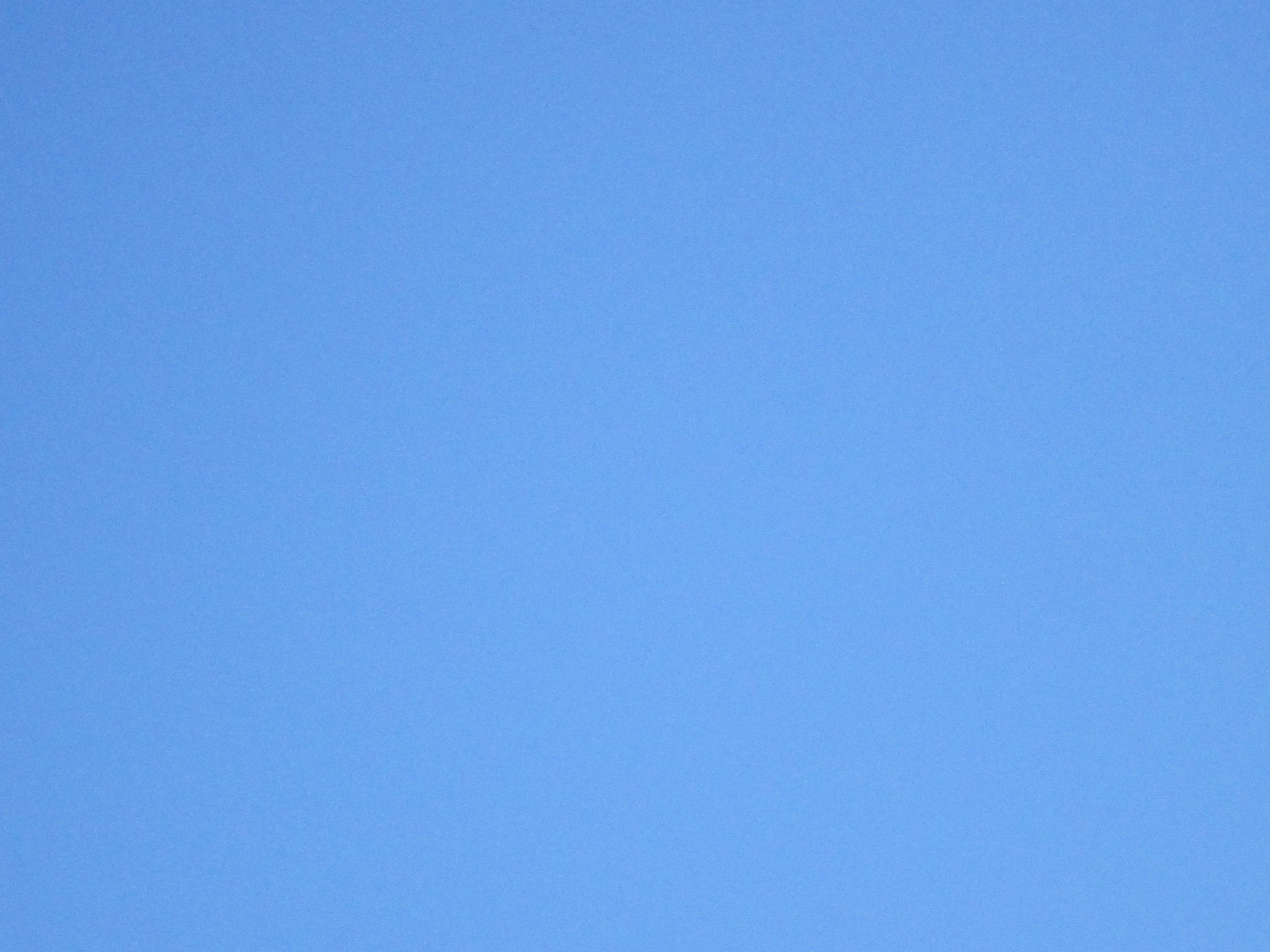e0262977_1371073.jpg