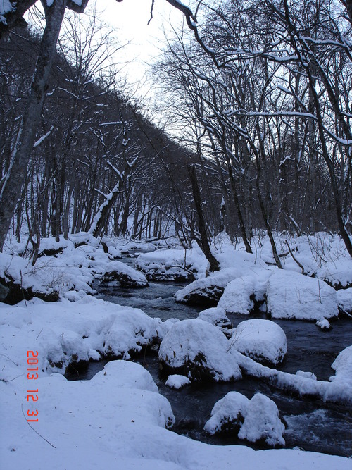 d0165378_1030435.jpg