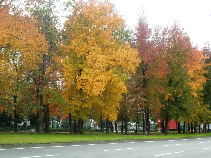 f0238779_11451386.jpg