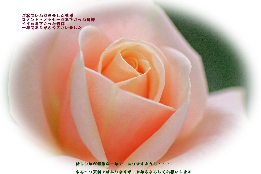 e0243382_12474.jpg