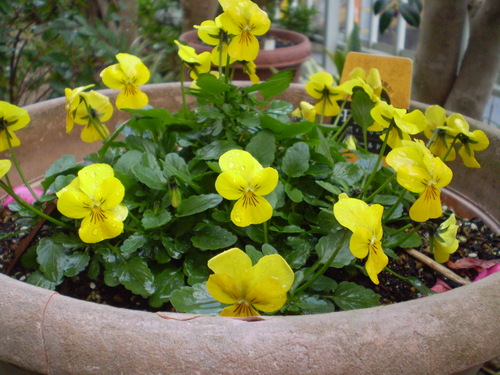 a0135990_2265931.jpg