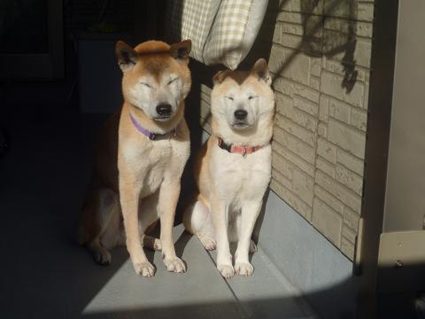 c0123890_20392080.jpg