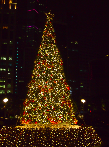 a0146493_2134870.png