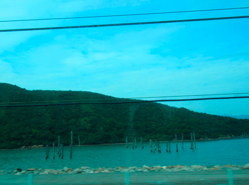 a0146493_2362931.png