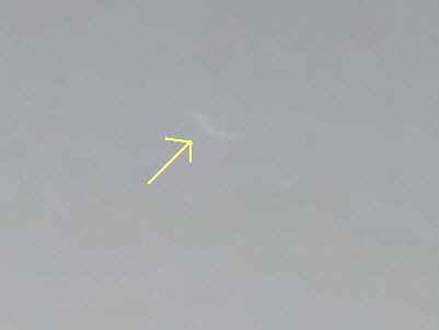 f0033598_17434559.jpg
