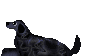 f0176499_0575754.gif
