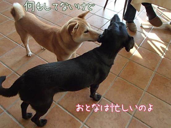 f0064906_16523210.jpg