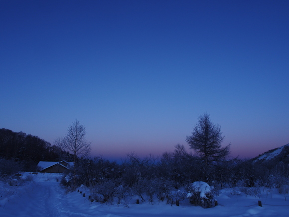 f0302208_1413174.jpg