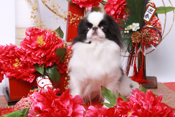 c0200916_112437.jpg