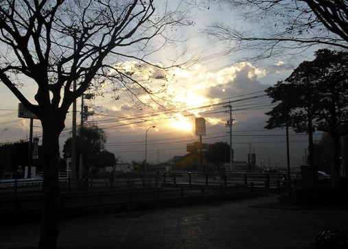 d0167422_1265785.jpg