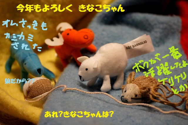 a0304423_23414950.jpg