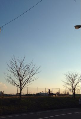 b0203925_1725124.jpg