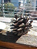 e0182926_14533680.jpg