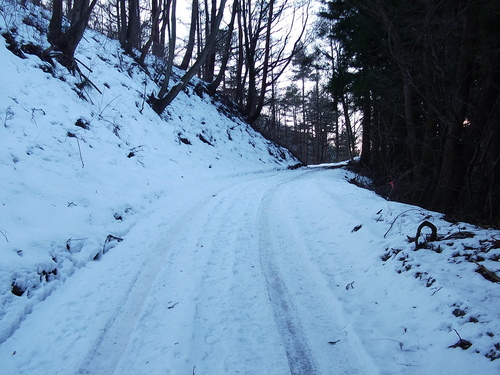 f0304030_21291251.jpg