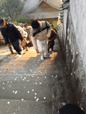 e0203037_2152628.gif