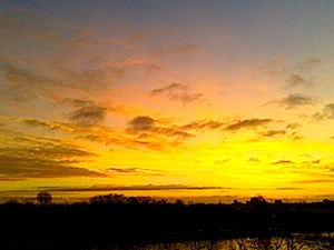 b0117348_6012100.jpg